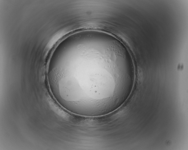 X0000111451075200907131324