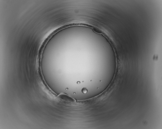 X0000111451076200907131324