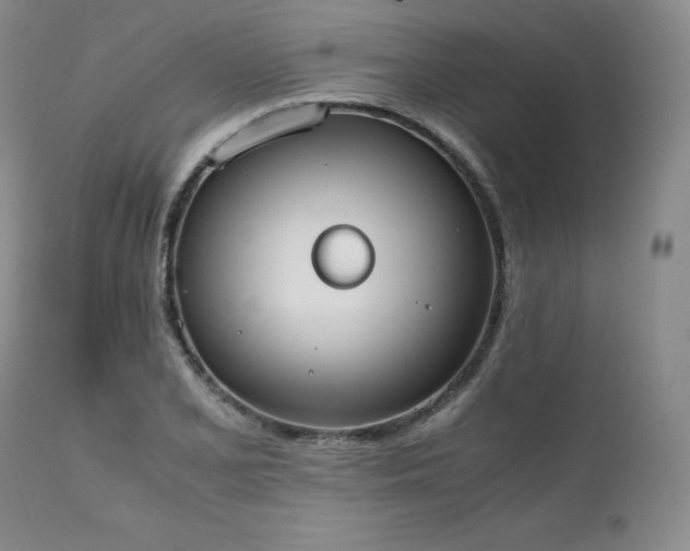 X0000111451077200907131324