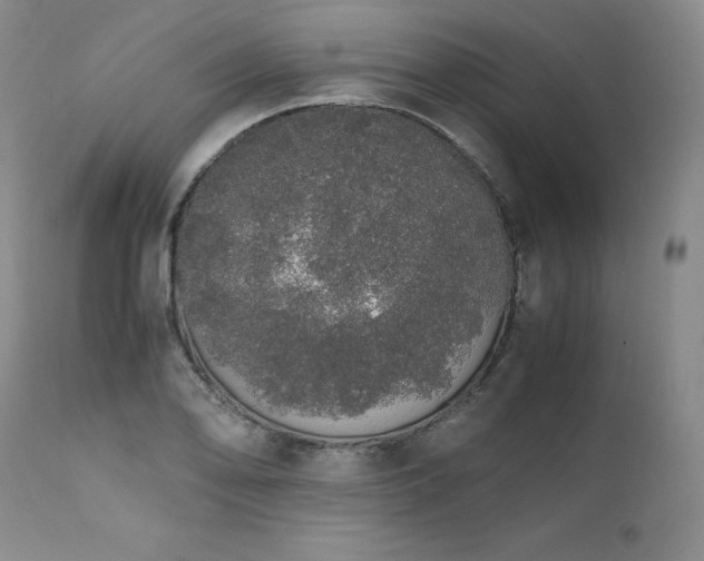 X0000111451078200907131324