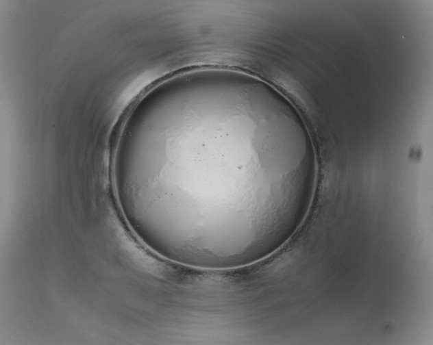 X0000111451079200907131324
