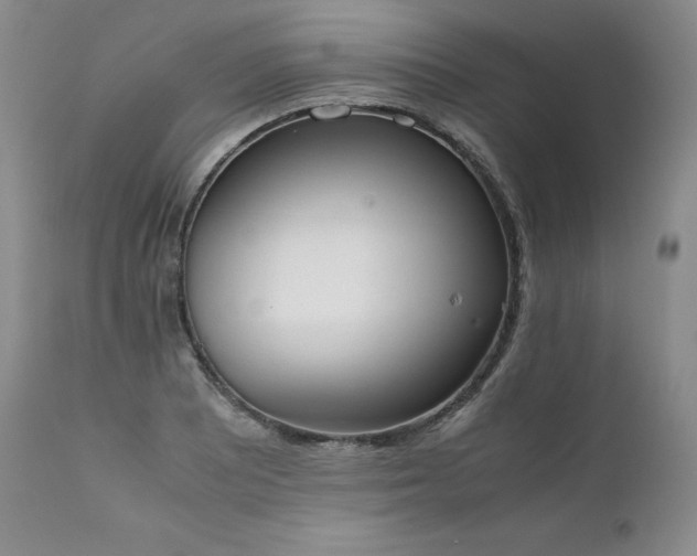 X0000111451081200907131324