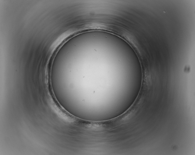 X0000111451082200907131324