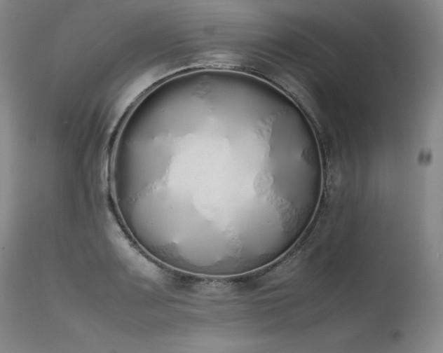 X0000111451083200907131324