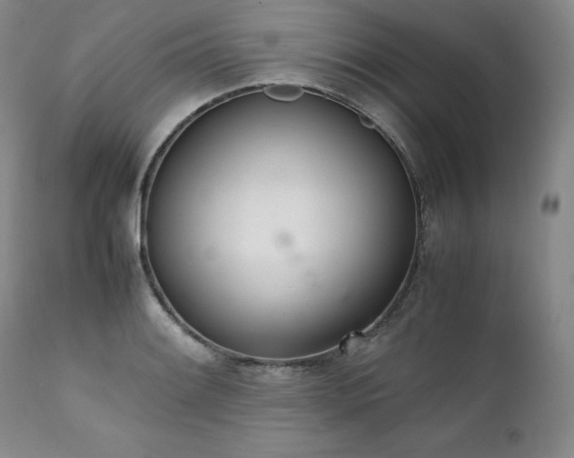 X0000111451084200907131324