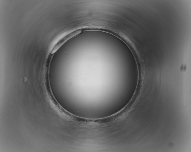 X0000111451085200907131324