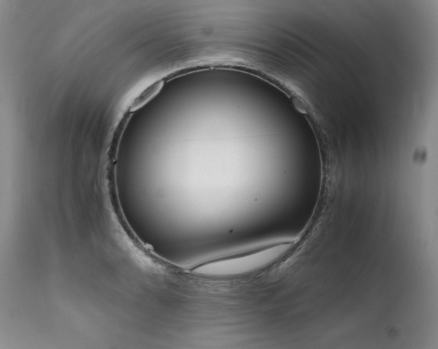 X0000111451086200907131324