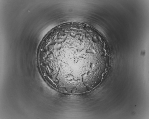 X0000111451087200907131324