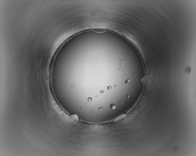 X0000111451088200907131324
