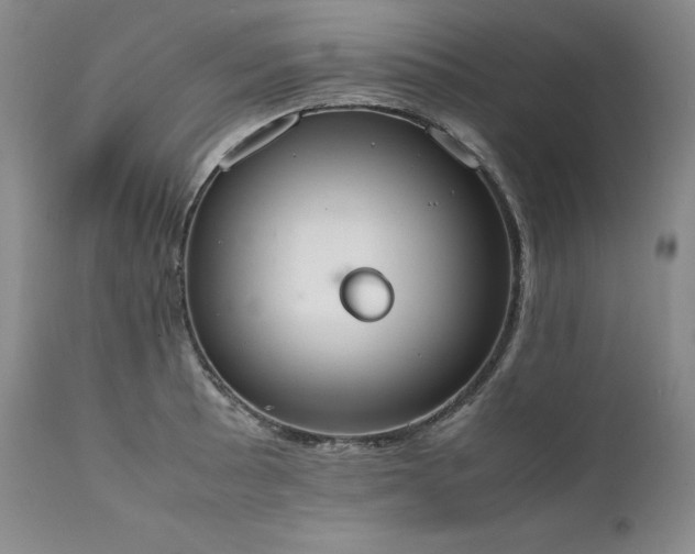 X0000111451089200907131324