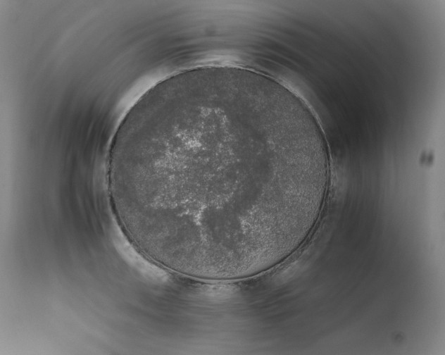 X0000111451090200907131324