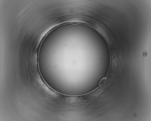 X0000111451092200907131324