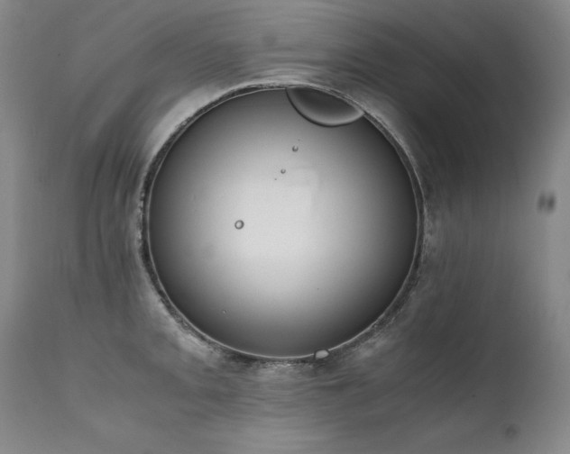 X0000111451093200907131324