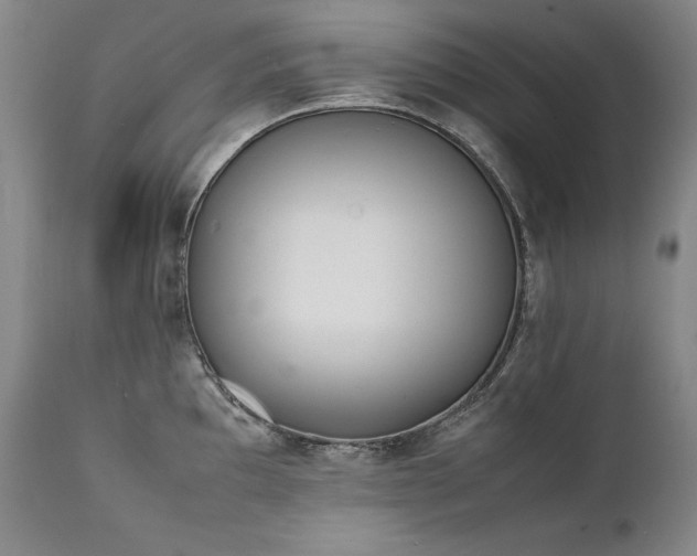 X0000111451097200907131323