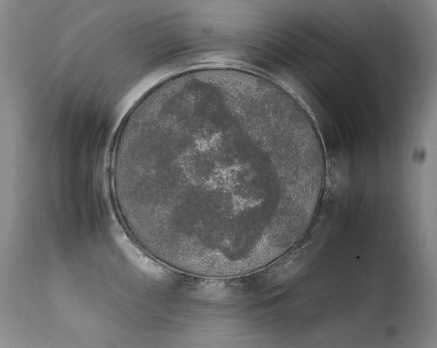 X0000111451098200907131323