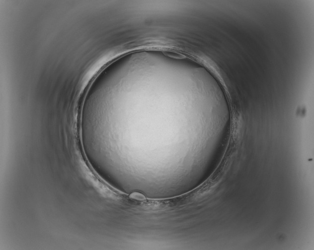 X0000111451099200907131323