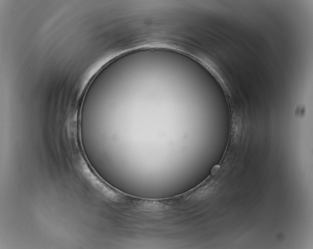 X0000111451100200907131323