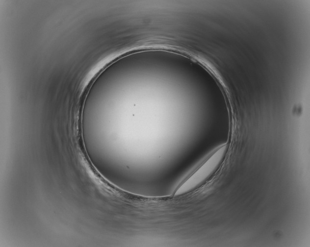 X0000111451101200907131323