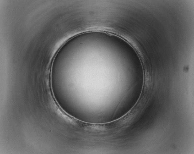 X0000111451102200907131323