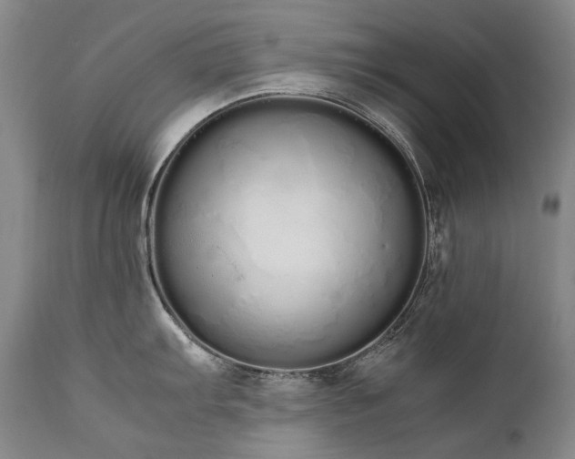 X0000111451103200907131323