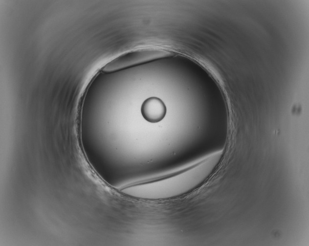 X0000111451104200907131323
