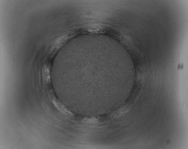 X0000111451106200907131323