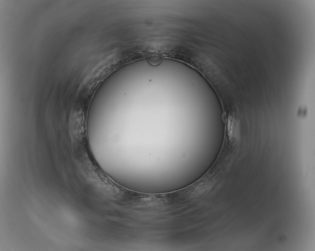 X0000111451107200907131323