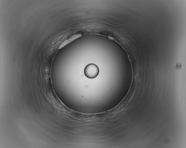 X0000111451108200907131323