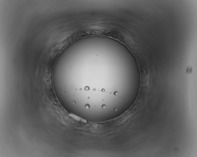 X0000111451109200907131323