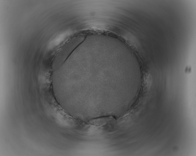 X0000111451110200907131323