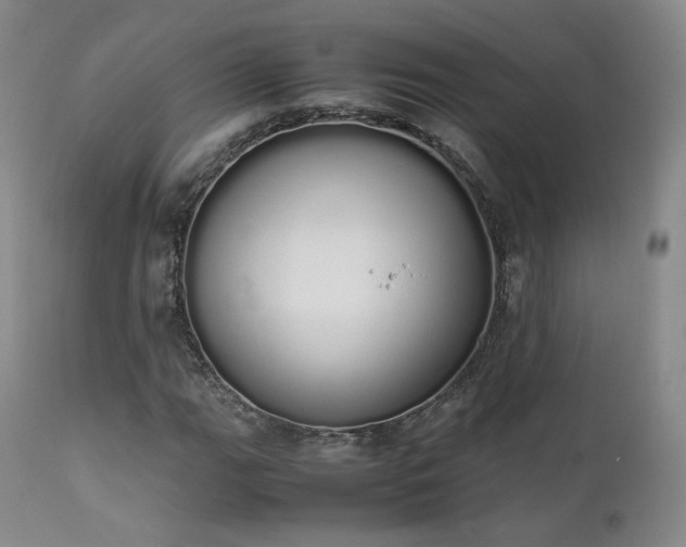 X0000111451111200907131323