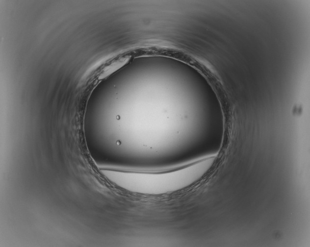 X0000111451112200907131323