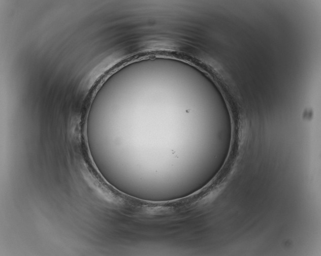 X0000111451113200907131323