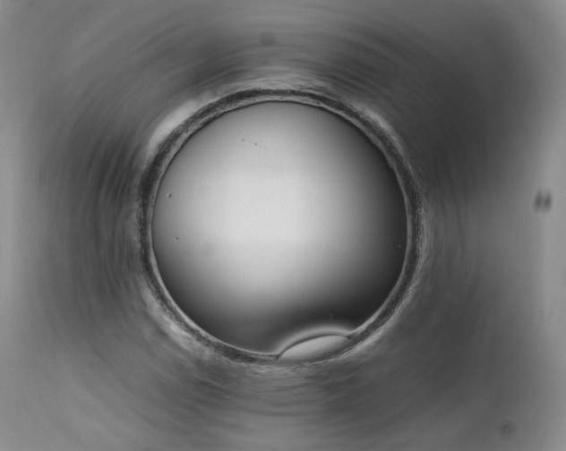 X0000111451114200907131323
