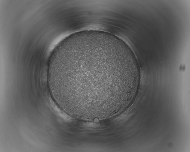 X0000111451115200907131323