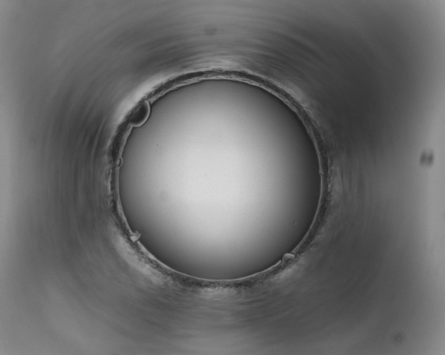 X0000111451118200907131323