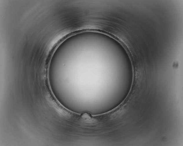 X0000111451119200907131323