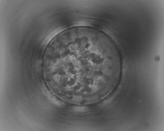 X0000111451121200907131323