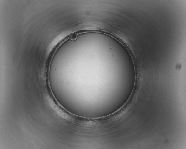 X0000111451122200907131323
