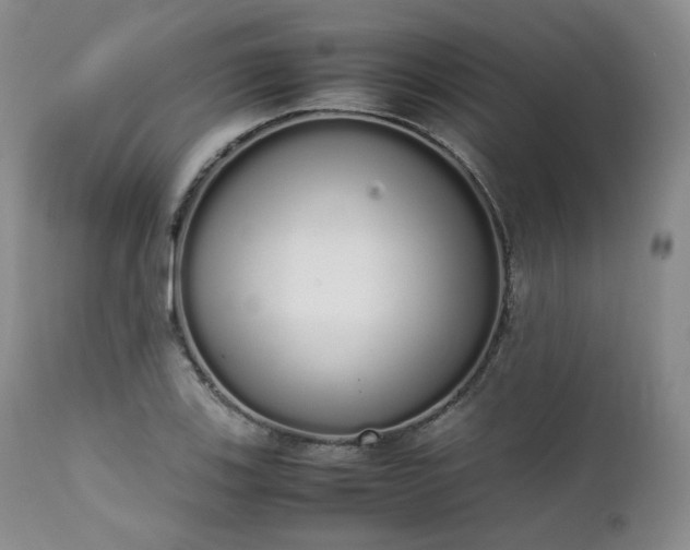 X0000111451123200907131323