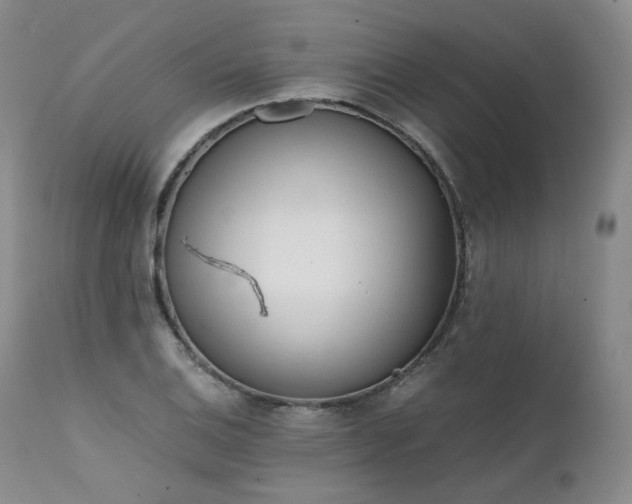 X0000111451124200907131323