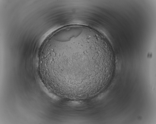X0000111451125200907131323