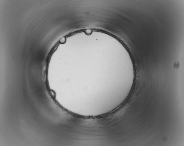 X0000111451126200907131323