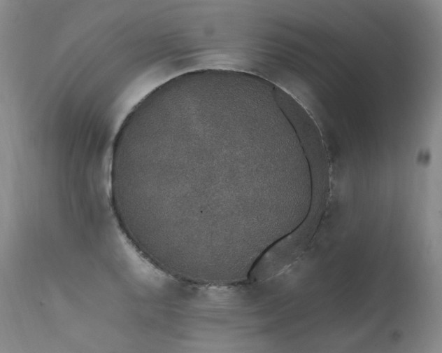 X0000111451128200907131323