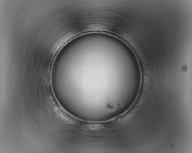 X0000111451129200907131323