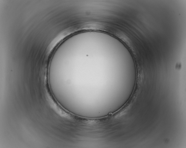 X0000111451130200907131323