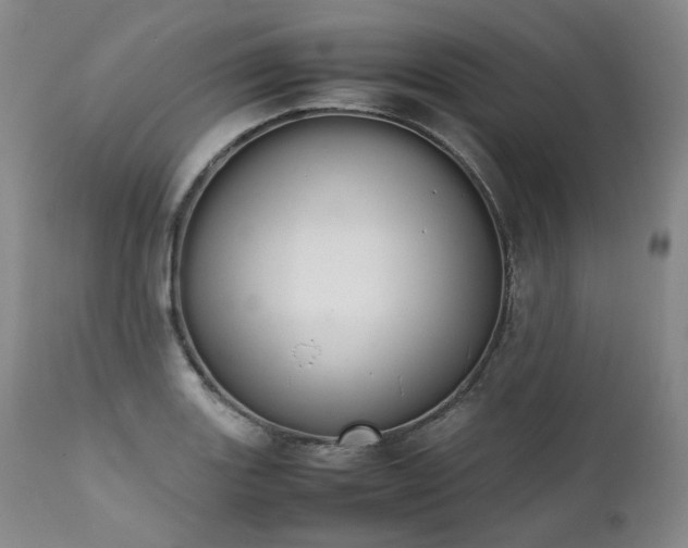 X0000111451131200907131323