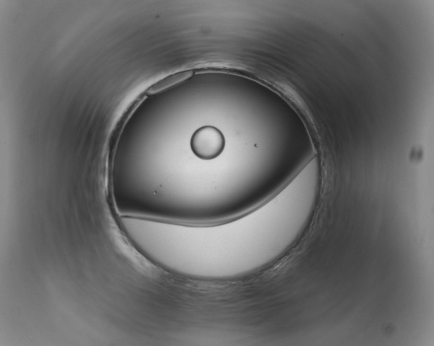 X0000111451132200907131323