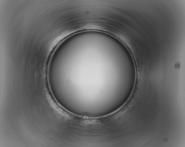 X0000111451133200907131323