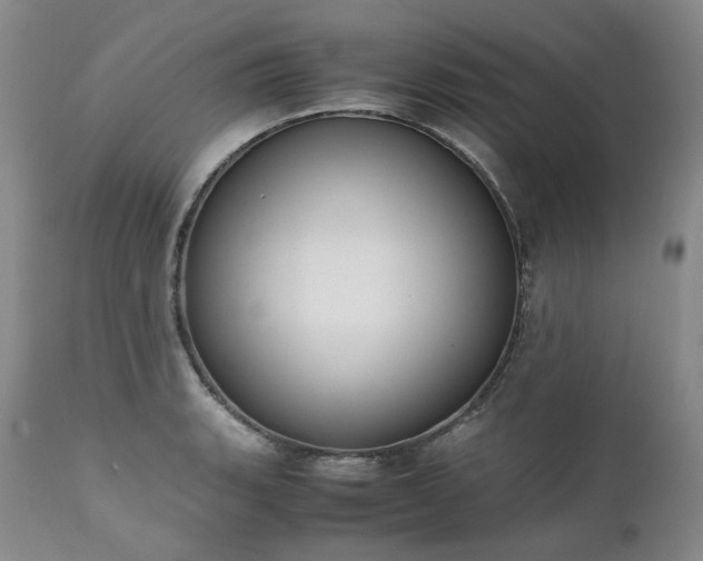 X0000111451135200907131323